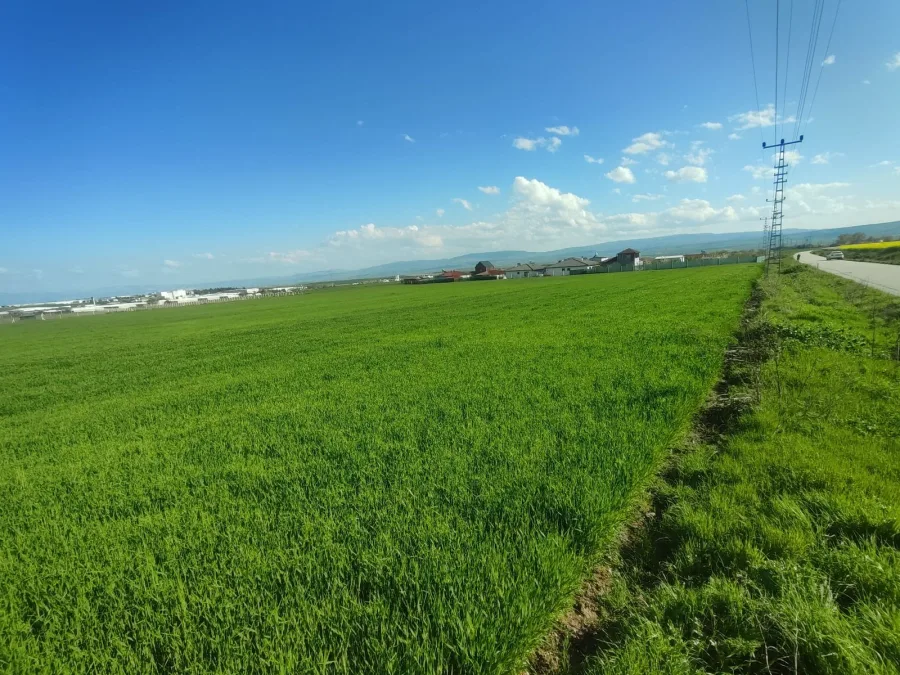ZİRVE EMLAKTAN MEHMET AKİF ERSOY MH.DE 26.532m² SATILIK TARLALAR fotoğraf 3